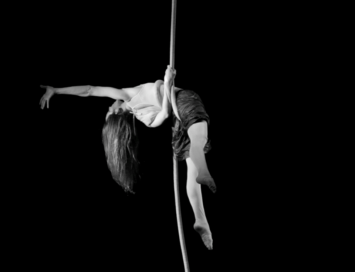 Workshop di tessuti e corda aerea con Vera Mor